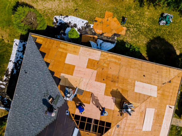 Best Roof Repair Services  in Third Lake, IL