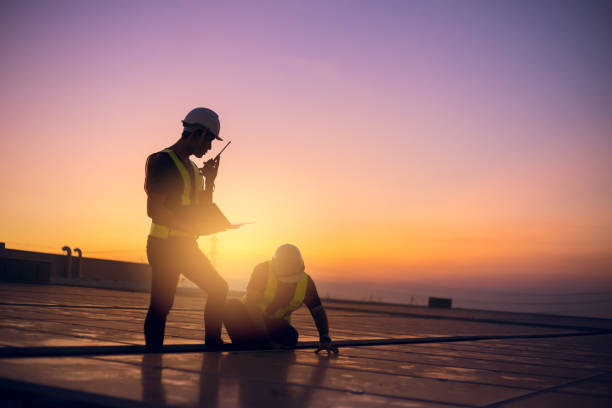 Best Flat Roof Repair Services  in Third Lake, IL
