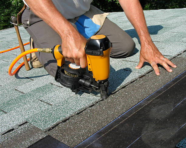 Best Local Roofing Companies  in Third Lake, IL