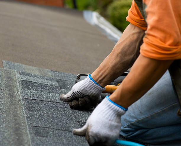 Best Roof Gutter Cleaning  in Third Lake, IL