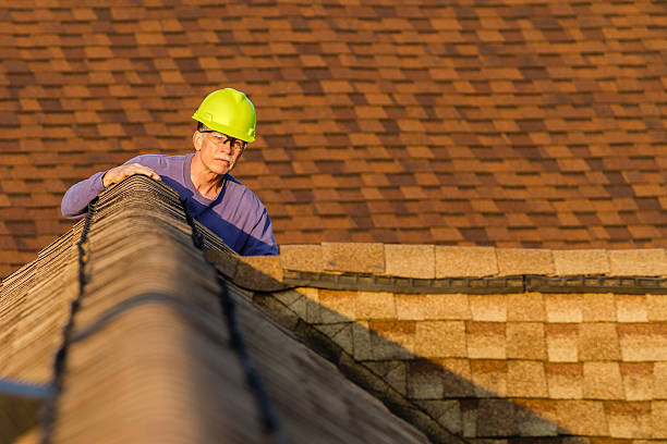 Best Roof Restoration Services  in Third Lake, IL