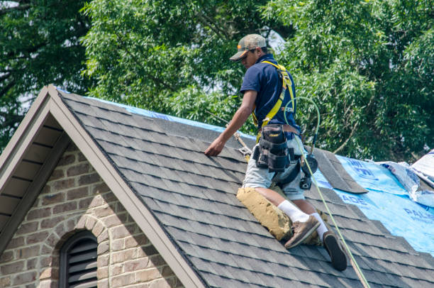 Best Roof Leak Repair  in Third Lake, IL